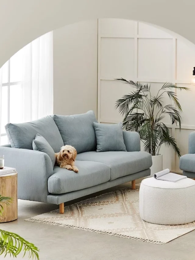 adairs-light-blue-virginia-2-seater-sofa-with-timber-legs